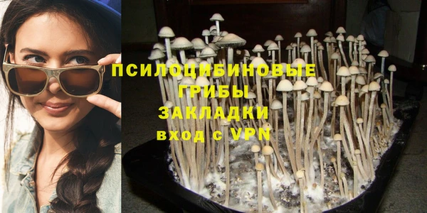 PSILOCYBIN Нефтегорск