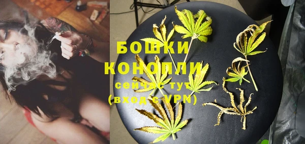 PSILOCYBIN Нефтегорск