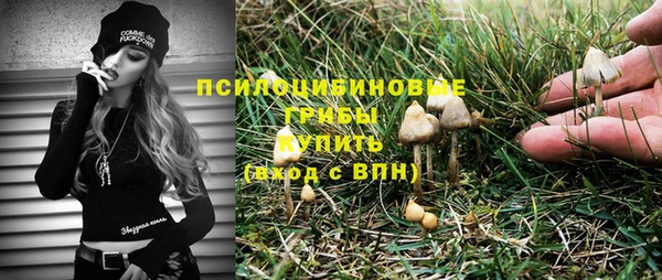 spice Нея