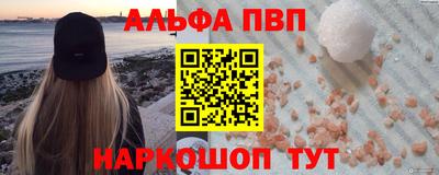 спиды Гатчина