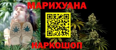 спиды Гатчина