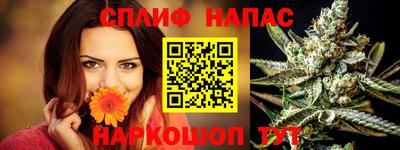 спиды Гатчина