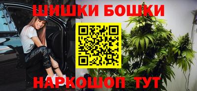 спиды Гатчина