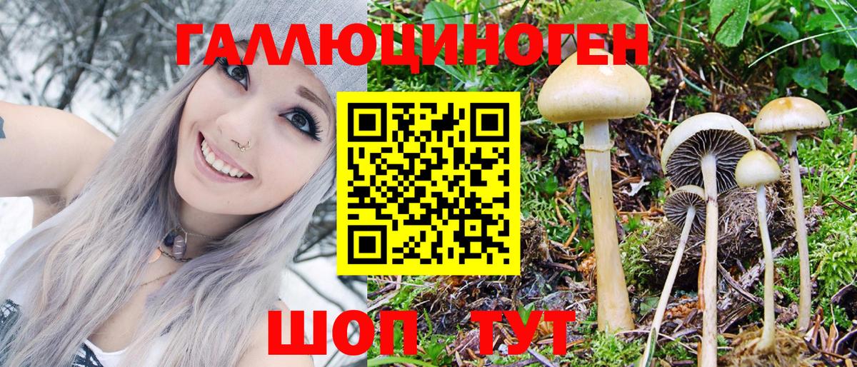 Когалым  Галлюциногенные грибы GOLDEN TEACHER  Вход с VPN 